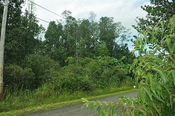 1st image of 9th Ave Lot 1729