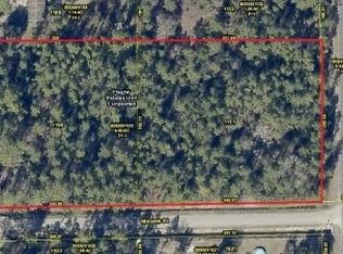 9975 Kirchherr Ave, Hastings, FL 32145