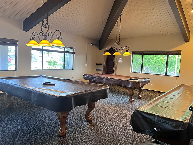 23501 White Dove Dr — Photo 19