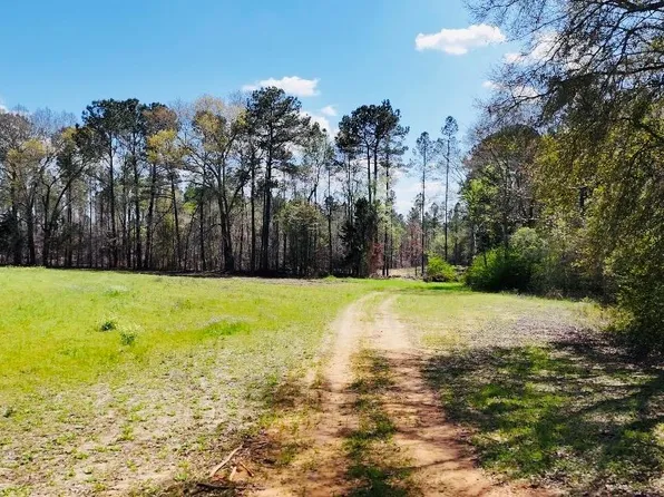 0 County Road 49, Headland, AL 36345
