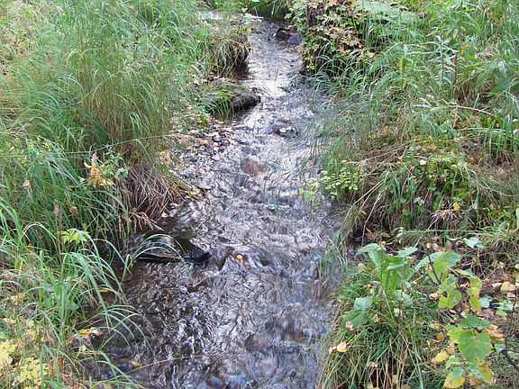 South Fork of Little Campbel
