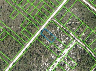 581 Springdale St, Lake Placid, FL 33852