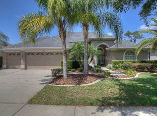 17736 Currie Ford Dr, Lutz, FL 33558