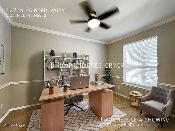 2nd image of 12235 Painted Daisy