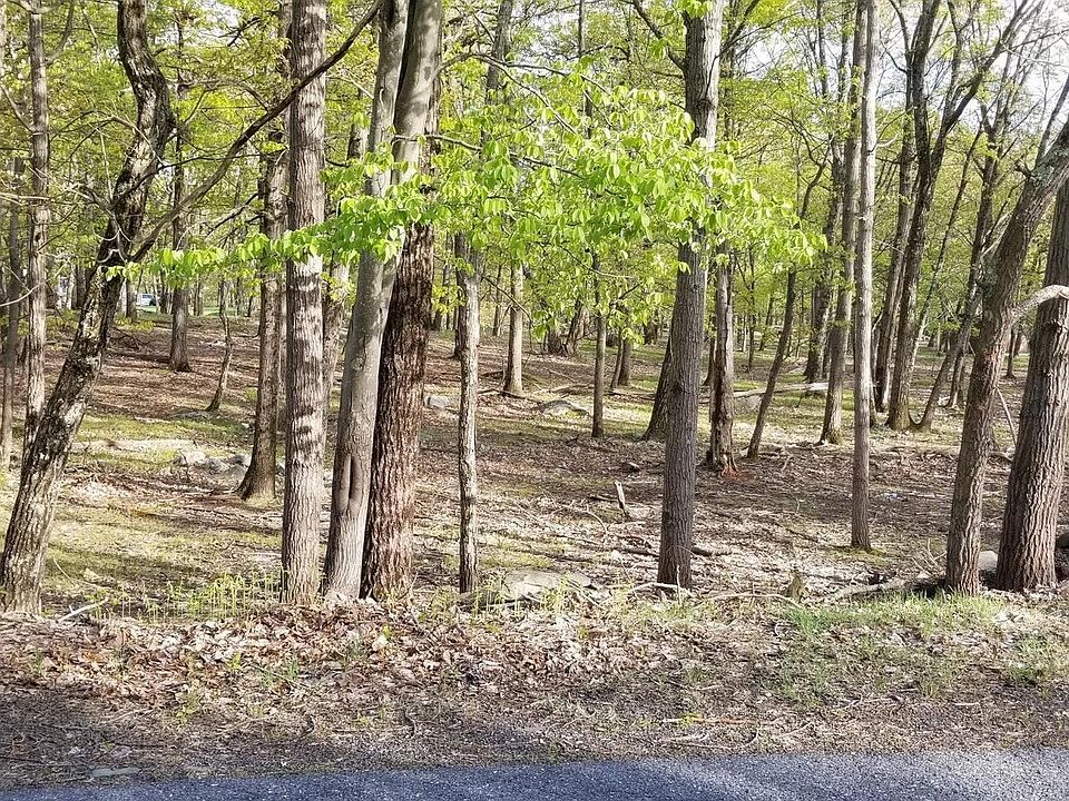 2nd image of 210 Hummingbird Ct