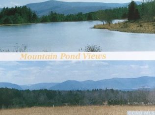 Mountain Pond View Rd, Conesville, NY 12076