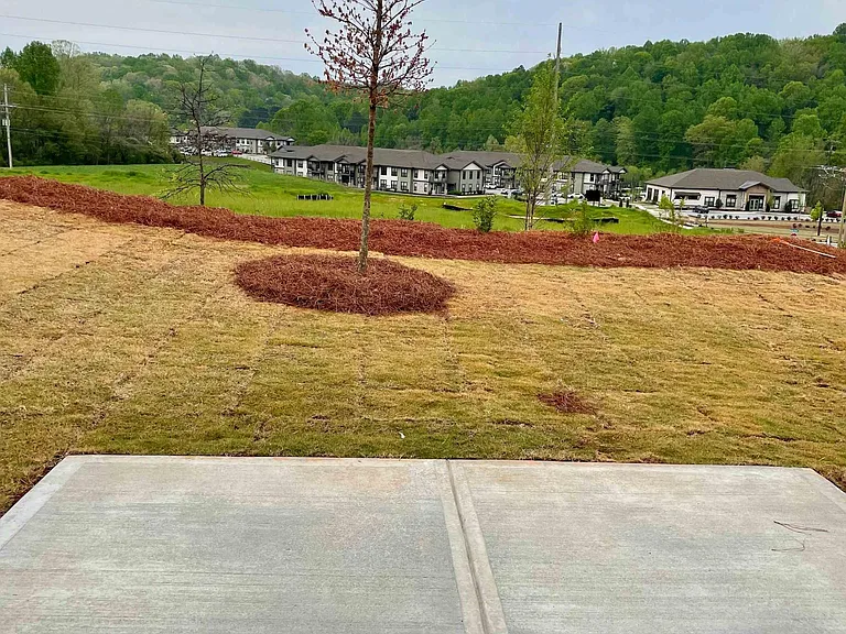 Open Space behind the backyard