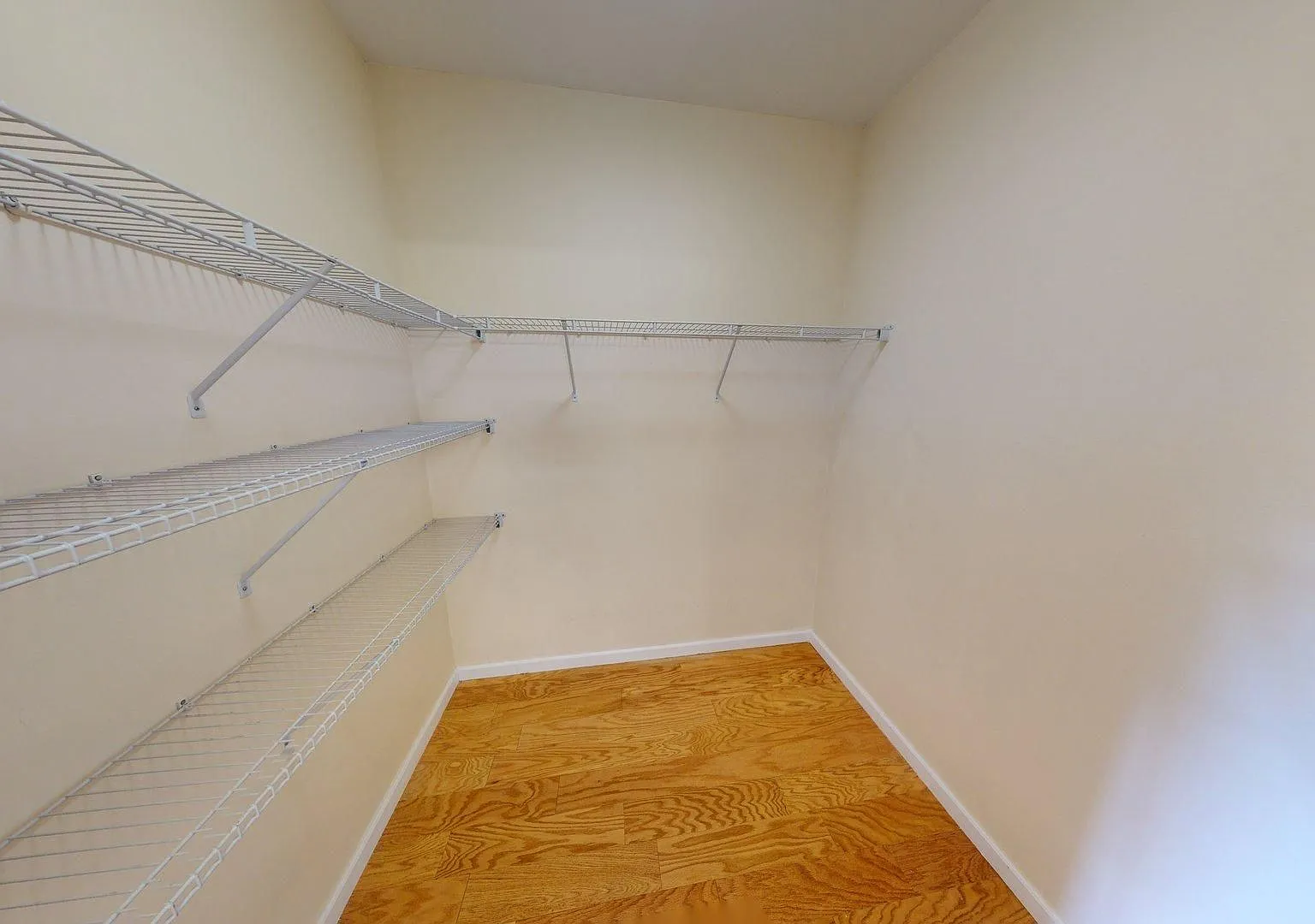 Golden Hill Street Apartments — Photo 4