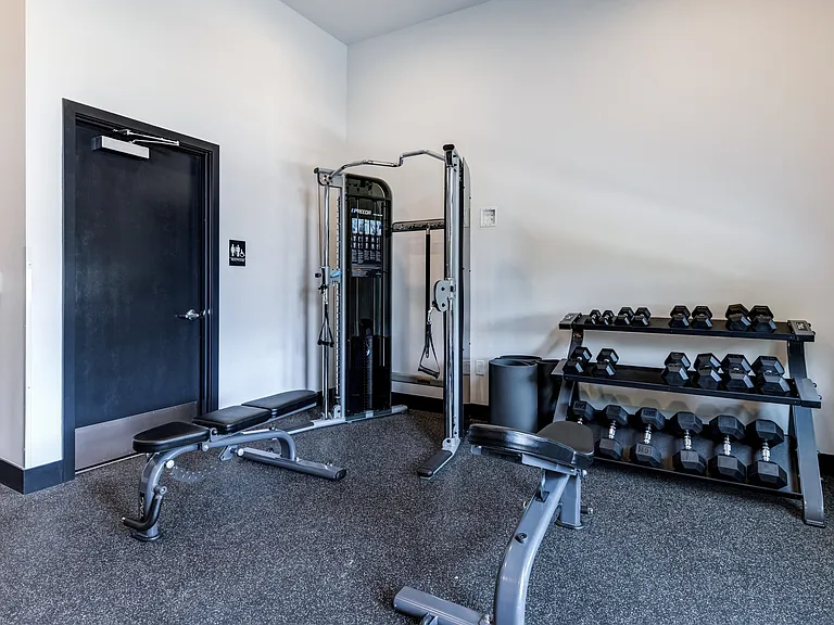 24-Hour Fitness Studio with Cardio & Free Weights