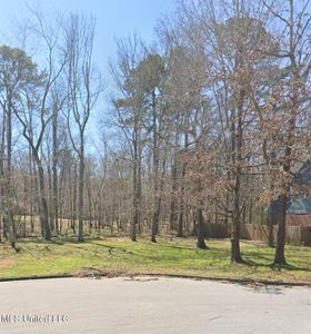 1069 Halton Ct, Brandon, MS, 39047