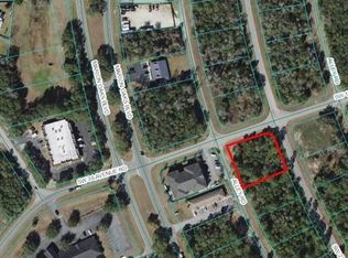 Tba Sw 137 Loop #SW, Ocala, FL 34473