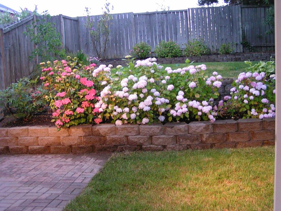 Landscaped & fenced yard