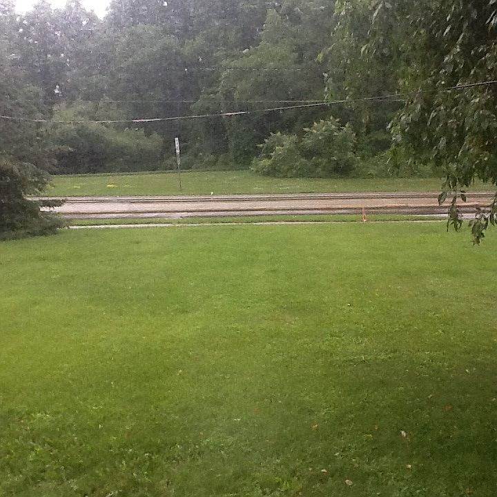 View from front window