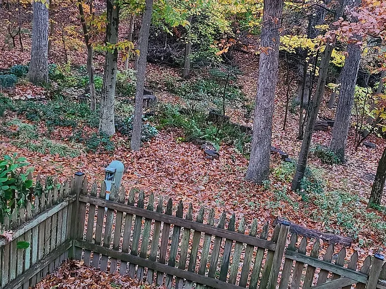 Enjoy the seasons park like fenced in, gated back yard
