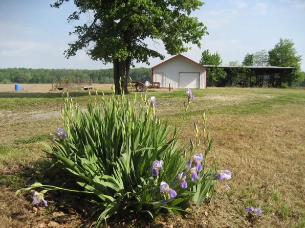 162 Jennifer Ln, Gleason, TN 38229