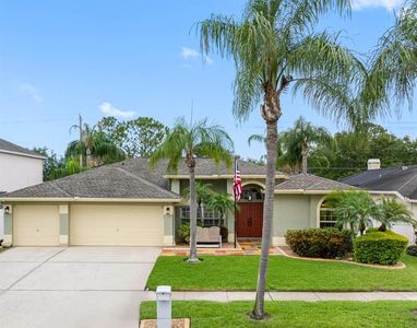 10213 Lockwood Pines Ln, Tampa, FL, 33635