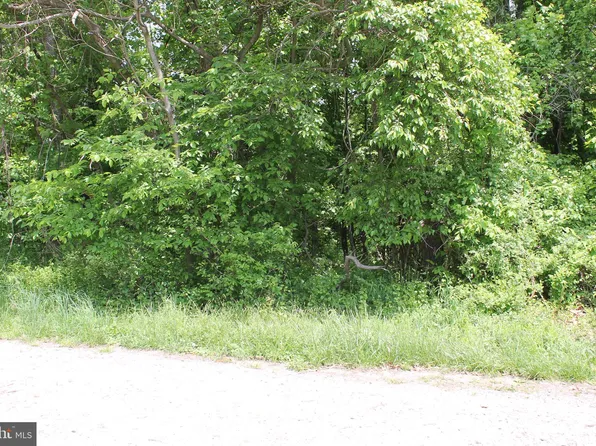 7 Tiger Trl, Fairfield, PA 17320