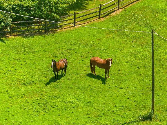 5th image of 9467 Old Waterloo Rd