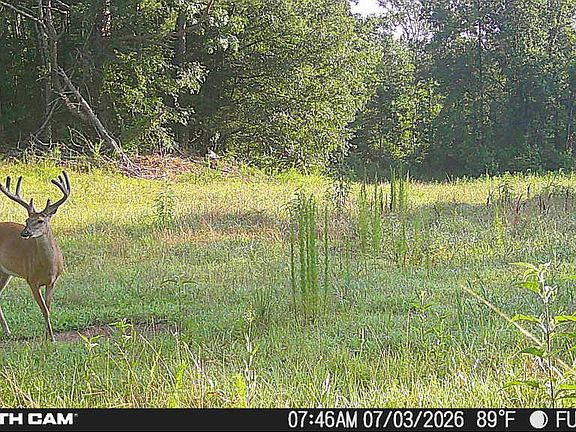 2nd image of 214 Authur Byrd Rd