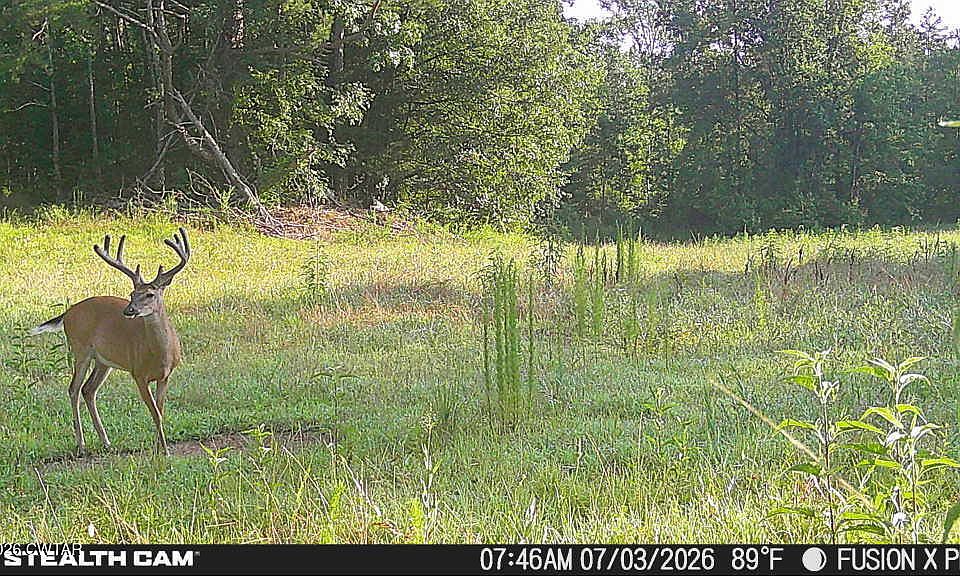 1st image of 214 Authur Byrd Rd