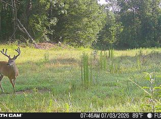 214 Authur Byrd Rd, Pocahontas, TN 38061