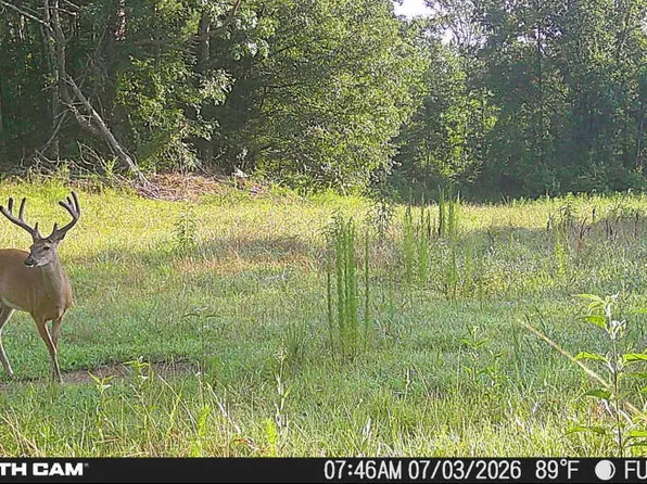 214 Authur Byrd Rd, Pocahontas, TN 38061