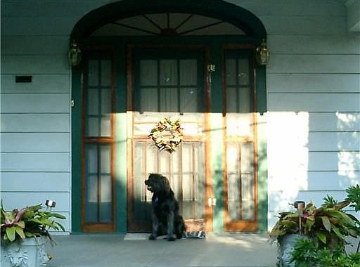 2nd image of 207 Alonzo St
