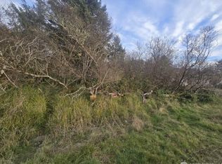 570 NE Puffin Avenue, Ocean Shores, WA 98569