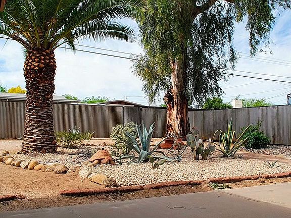 Desert Succulent Garden 