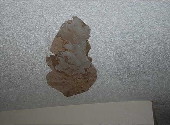 3rd image of 1708 Blackwell Ln