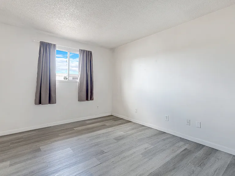 1702 E El Parque Dr — Photo 18