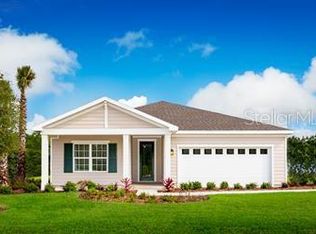 8287 Greenway Ave, Wesley Chapel, FL 33544