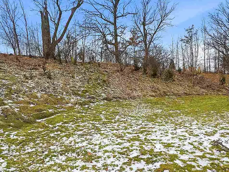 295 Hickory Ct — Photo 27