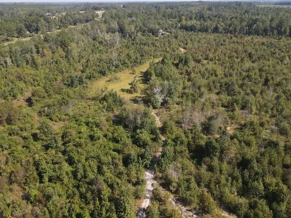 4751 Highway 441, Jacksonville, GA 31544
