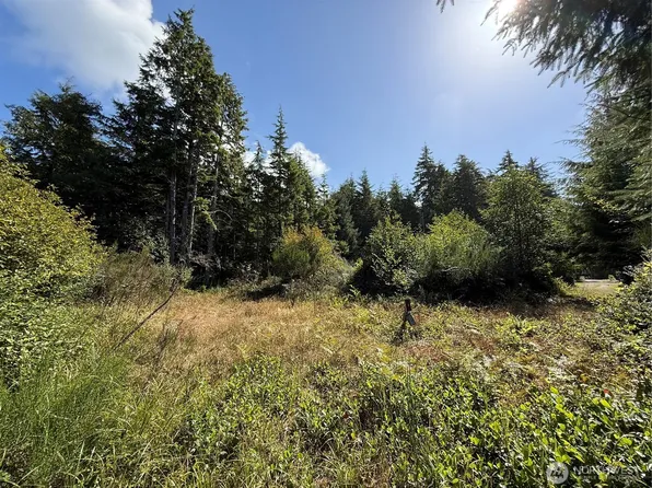 3011 202nd Street, Ocean Park, WA 98640