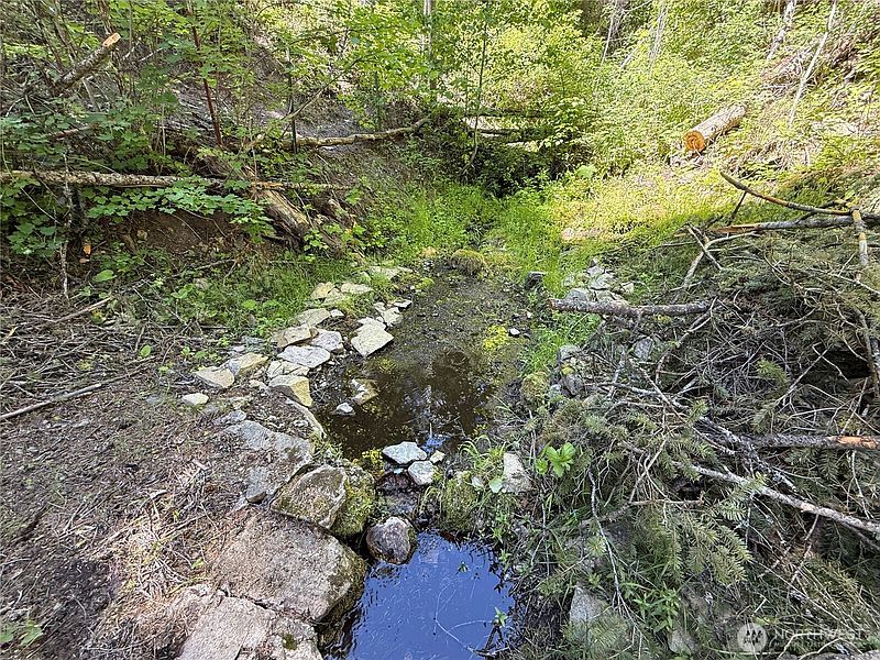 5th image of 0 TBD Toroda Creek Road