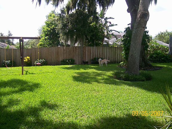 Backyard with oaks