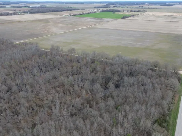 111 Highway Ave, Neelyville, MO 63954