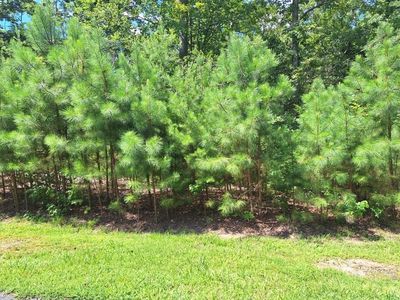 11 Harbor Landing Ct, Urbanna, VA, 23175