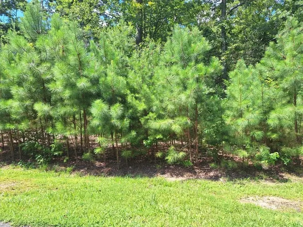 11 Harbor Landing Ct, Urbanna, VA 23175