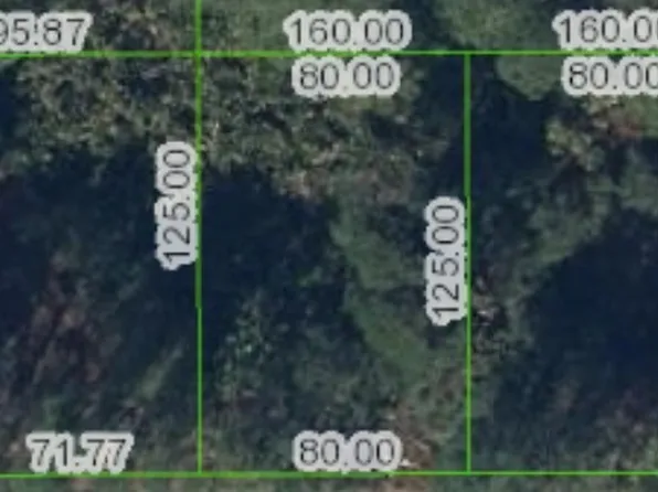 93 Tobler Blvd, Lake Placid, FL 33852