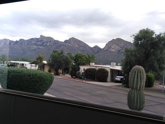 Picture window view!
