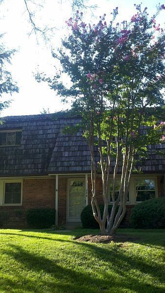 1st image of 246 S Virginia Ave