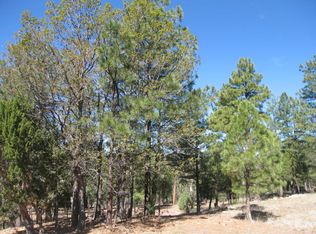 2562 Broken Tree Rd, Happy Jack, AZ 86024
