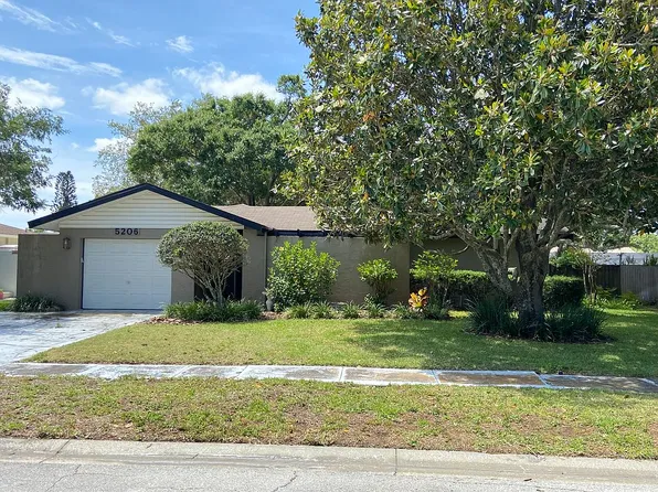 5206 Windlaff Ave, Tampa, FL 33625