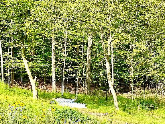 Path leading to preserve