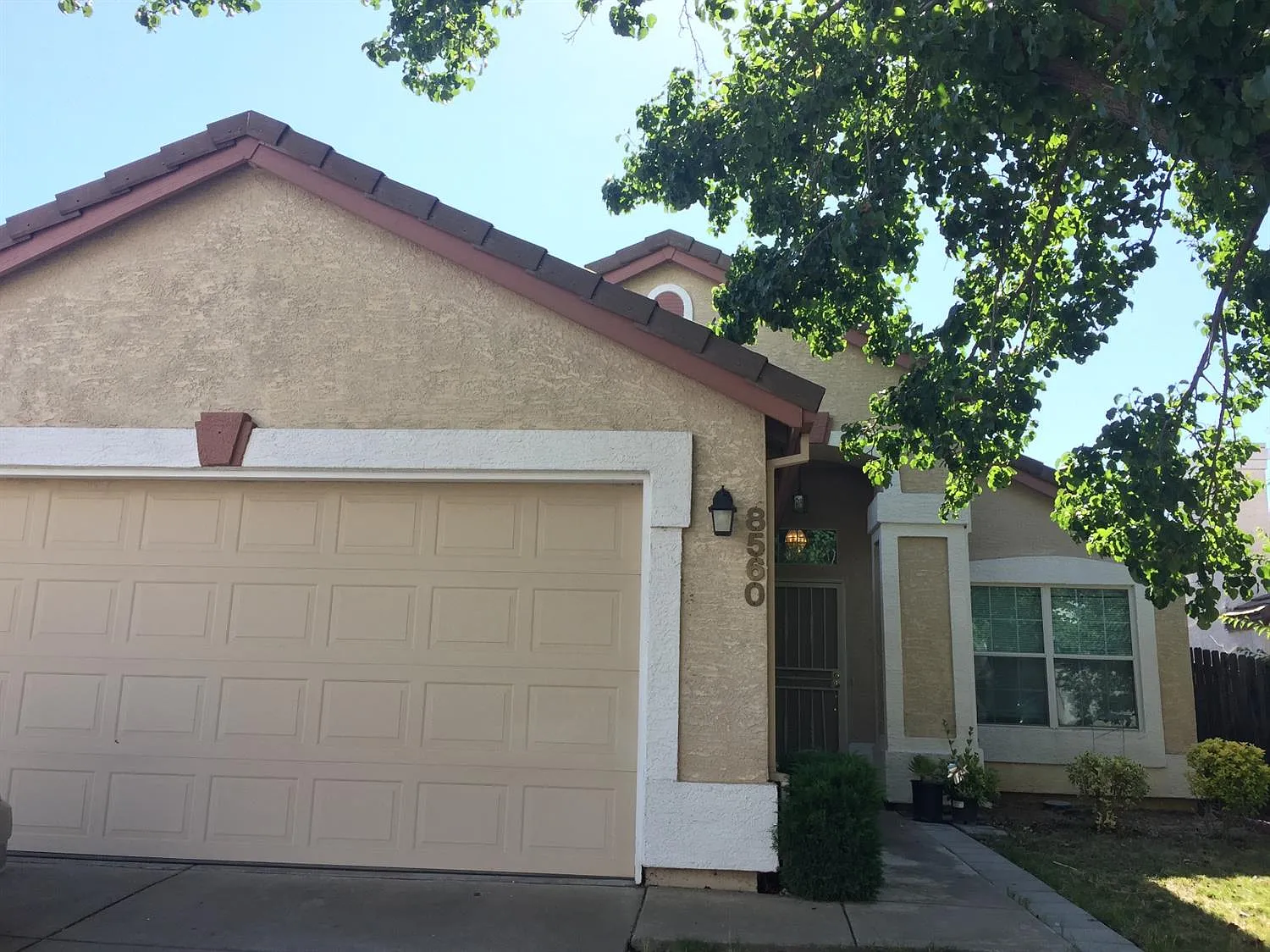 8560 Black Cherry Ct photo 1