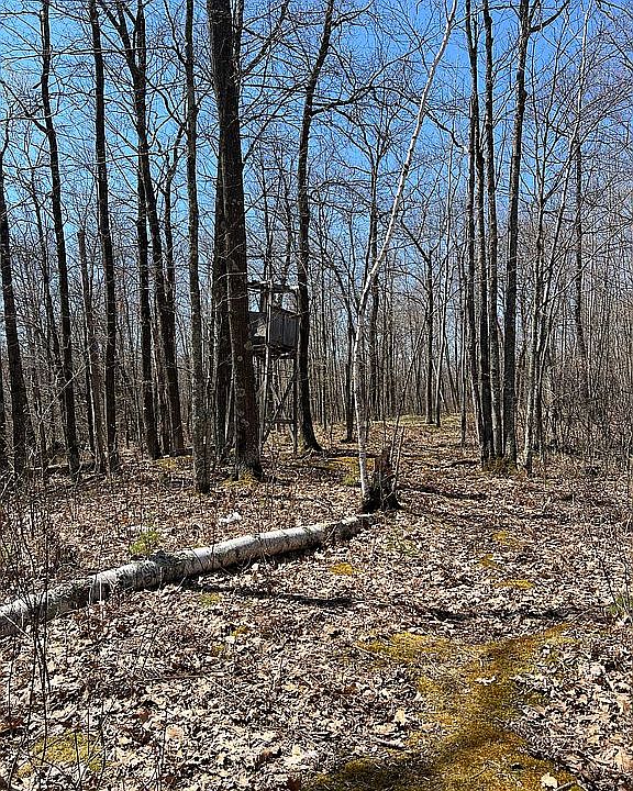 2nd image of 48477 Olson Rd