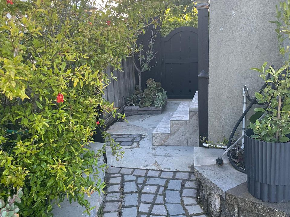 Privet patio
