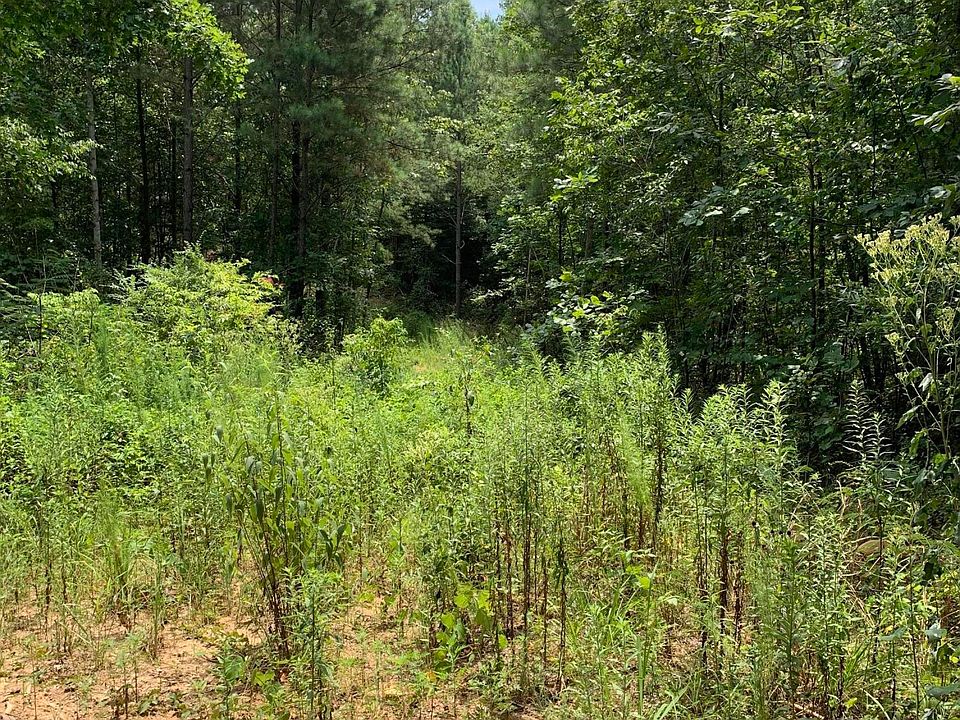 2nd image of 1009 Southside Rd